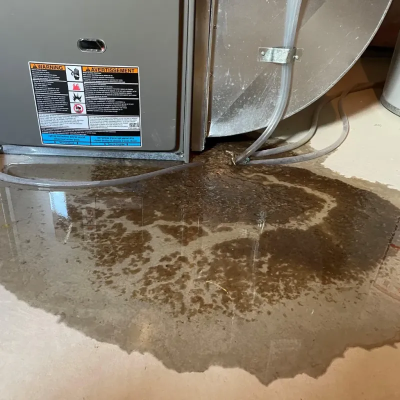 Appliance Leak Cleanup in Red Oak, NC